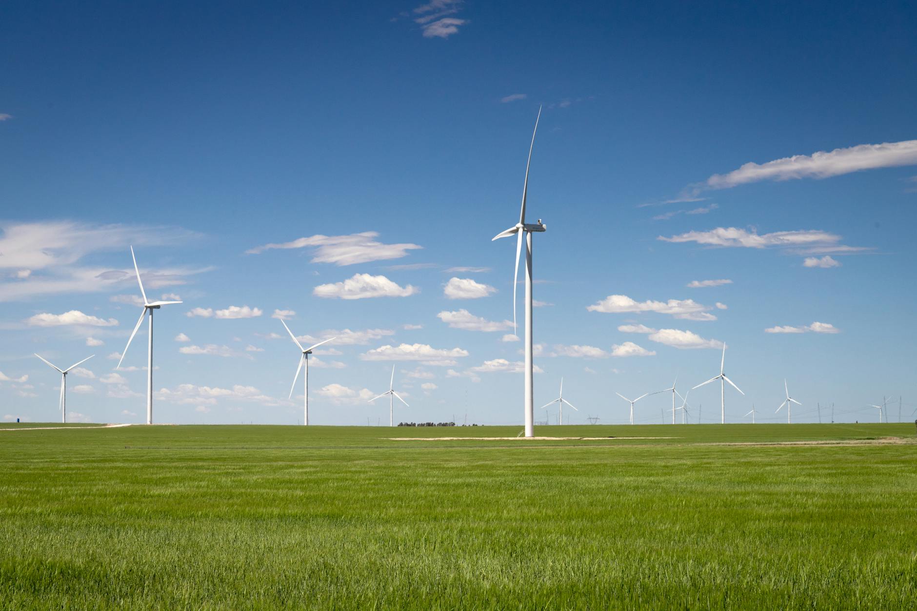 Windkraft: Funktion, Vorteile und Herausforderungen für die Energiewende