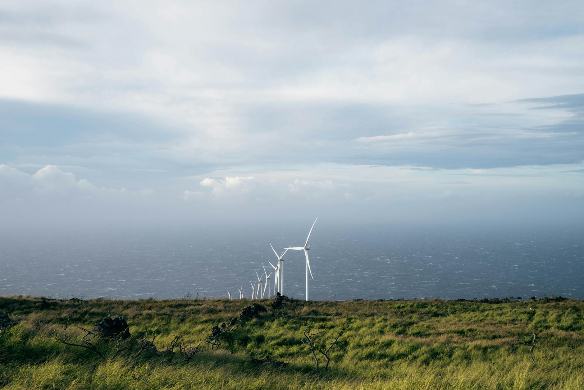 Windkraftanlagen Kosten und Gewinn: Wirtschaftliche Chancen, Risiken und Praxisbeispiele
