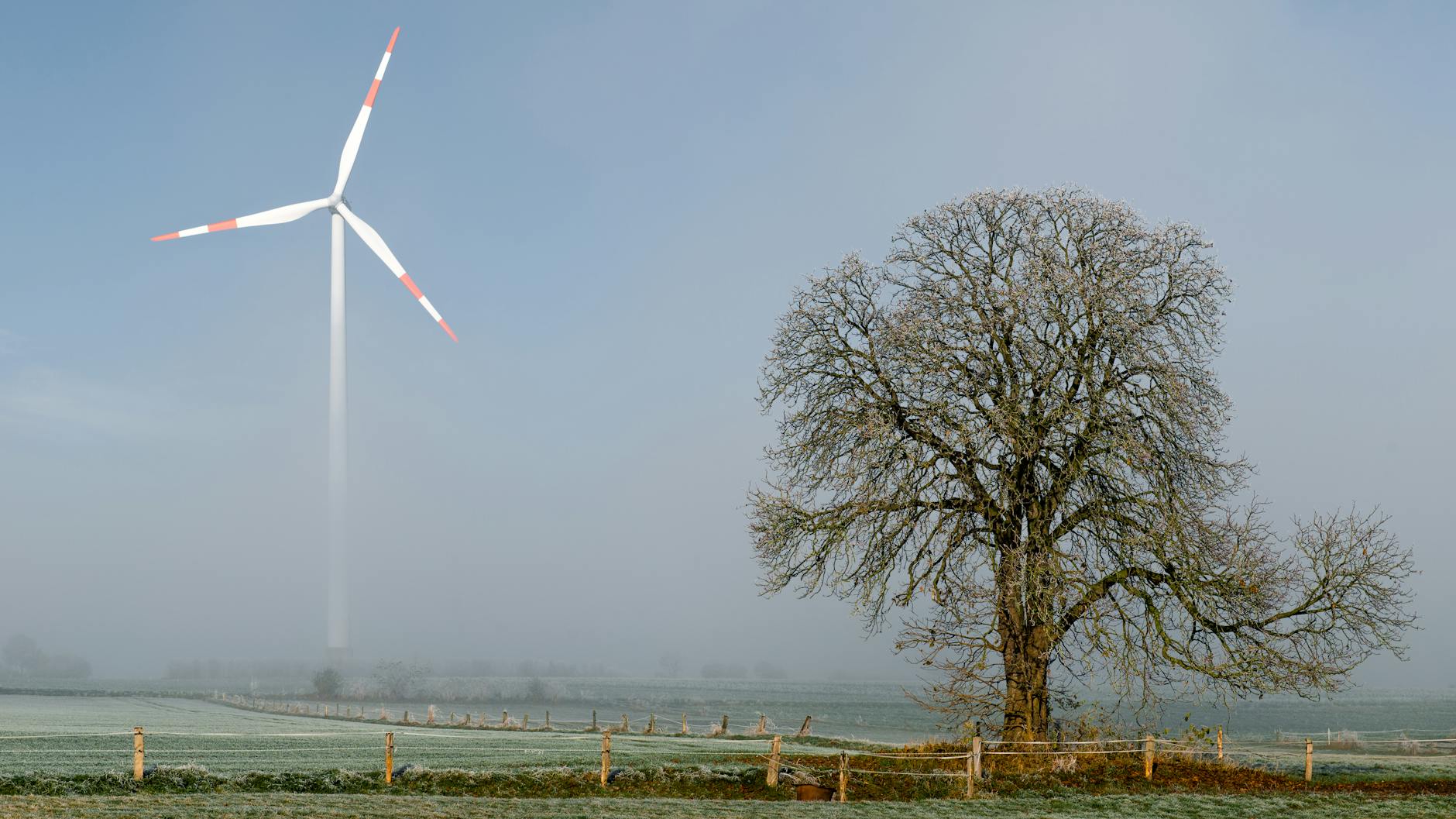 Genehmigungsverfahren Windkraftanlagen: Der umfassende Praxis-Guide