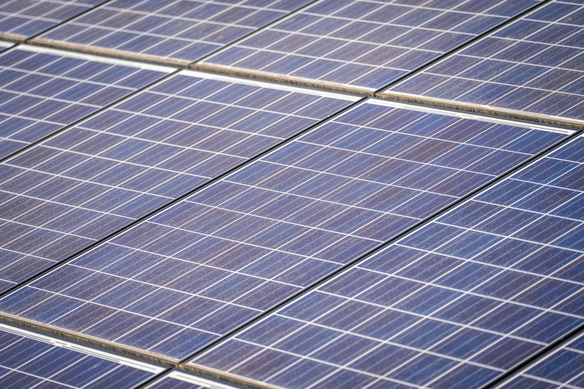 In erneuerbare Energien investieren – Ihr Leitfaden für nachhaltige Geldanlagen