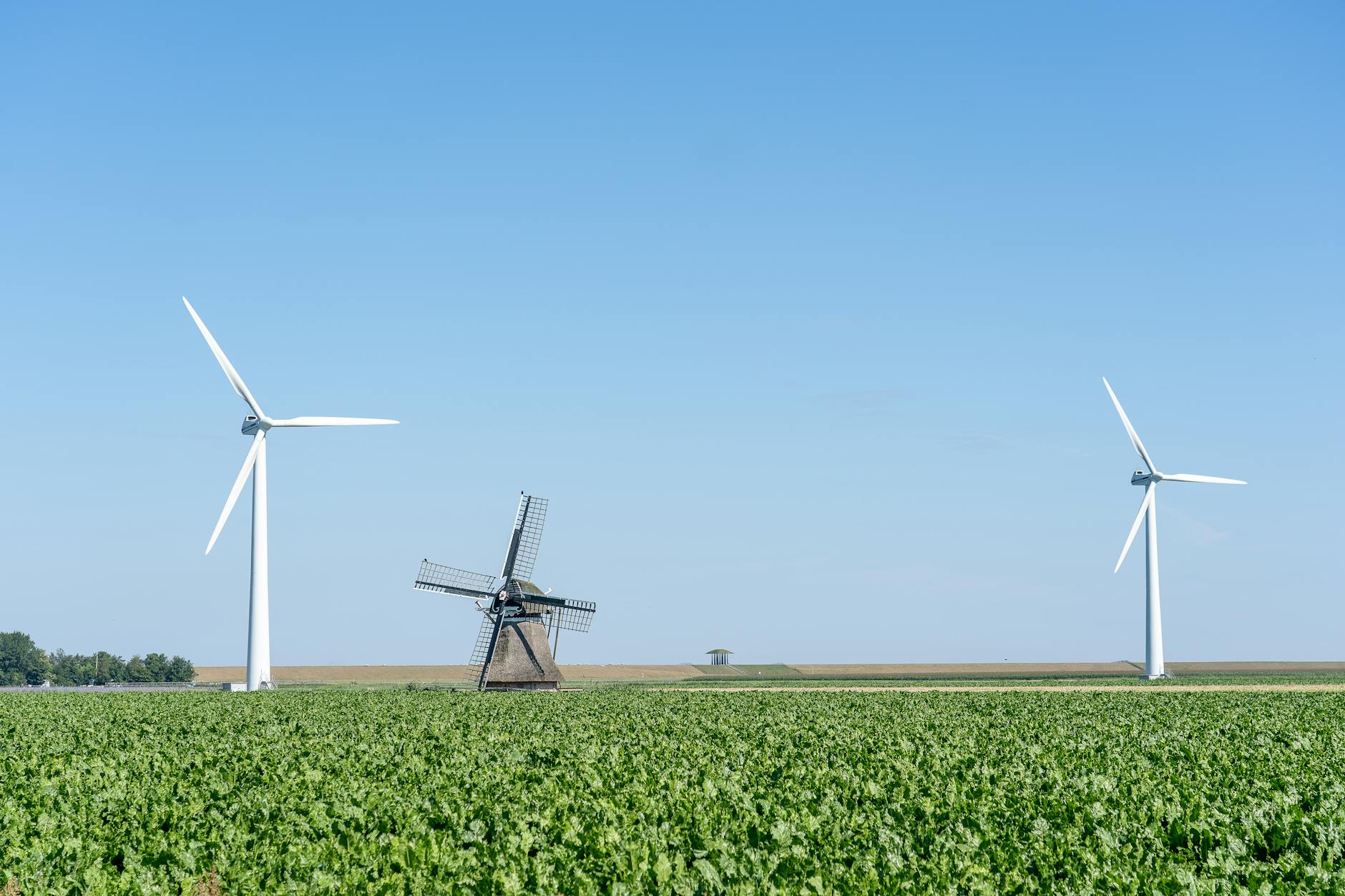 Windkraft für zuhause: Lohnt sich das für Ihr Einfamilienhaus?